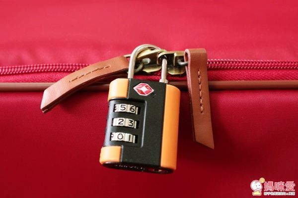 VoyLux 伯勒仕收摺行李箱、四用托特包