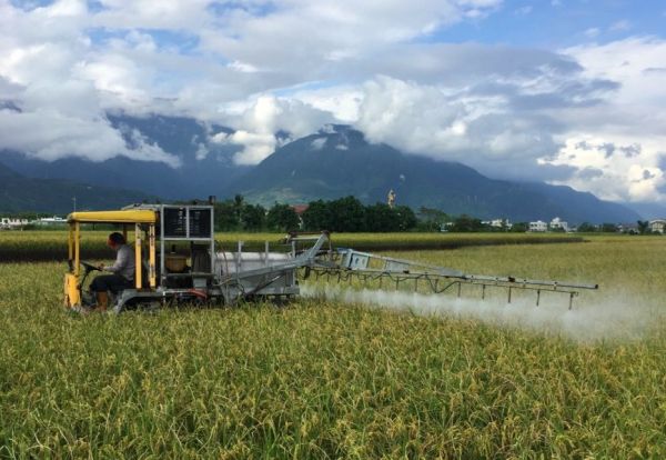農大夫自然農法美食