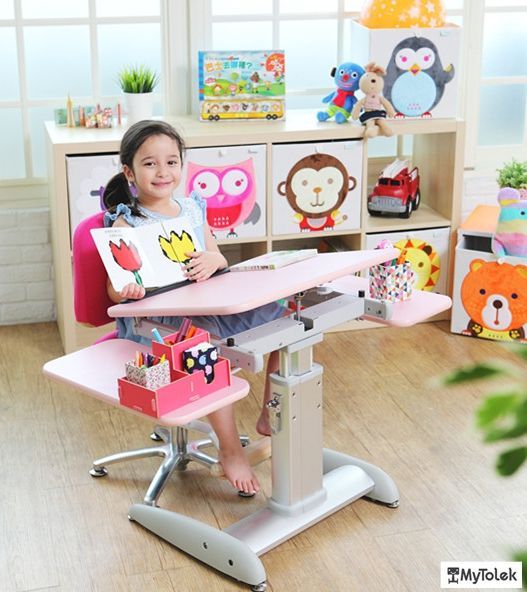 MyTolek 童樂可 - 小玩意分格抽套餐組-A3-單框框+1層板+2大格抽(藍+粉)(請於備註欄標示想買的框框顏色:藍/粉紅) (33*33*33cm)