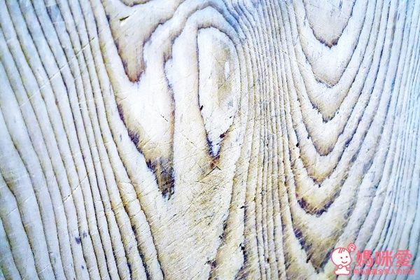 Zaniin 抗刀痕環保砧板組