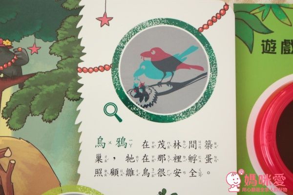 華碩文化 神奇的放大鏡-動物奇觀