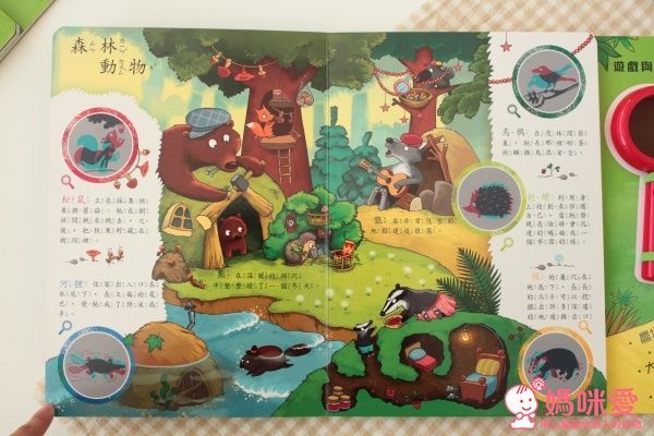 華碩文化 神奇的放大鏡-動物奇觀