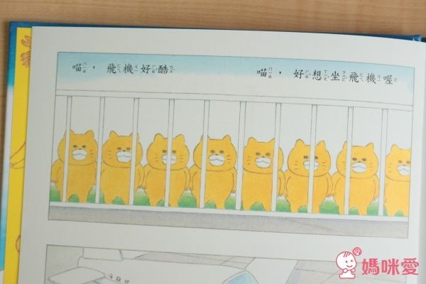 野貓軍團飛上天