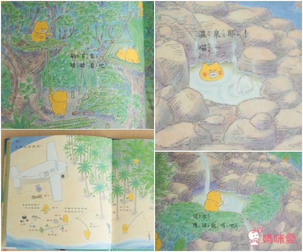 野貓軍團飛上天