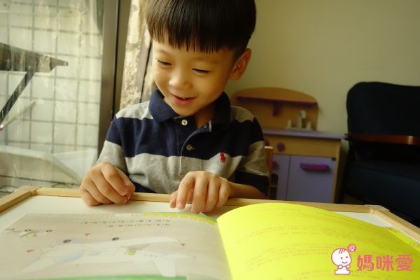 野貓軍團飛上天