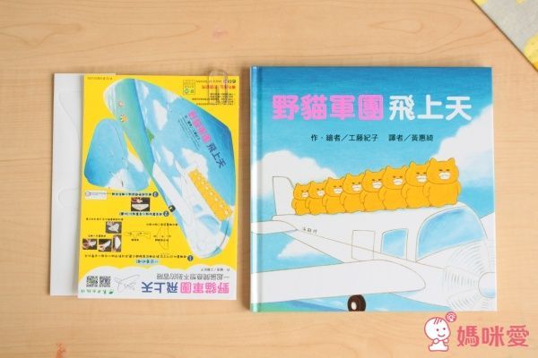 野貓軍團飛上天