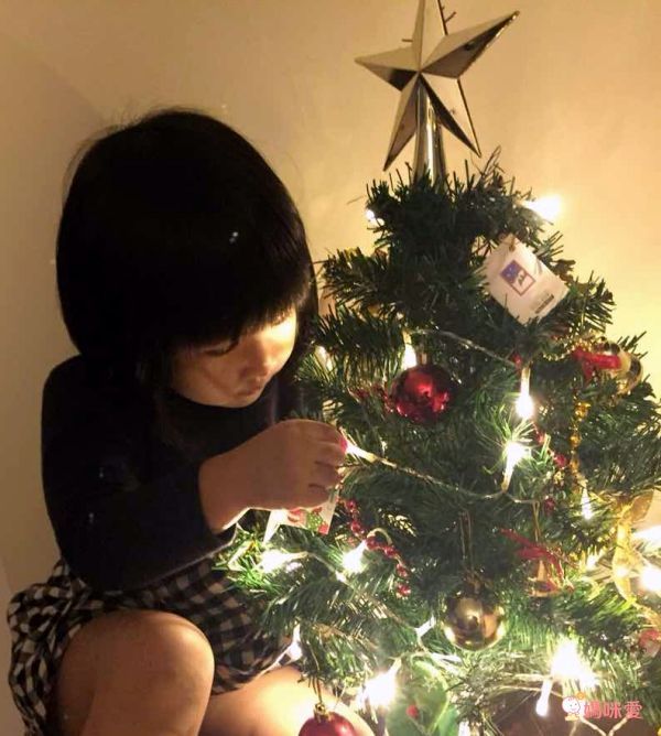 早鳥享免運！台灣製裝飾聖誕樹，附全套齊全配備