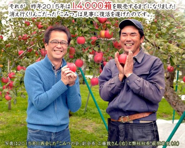 日本超級全蜜蘋果♛青森縣空運直送