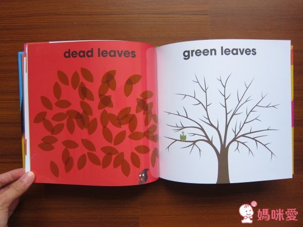 Patrick George 透明膠片書