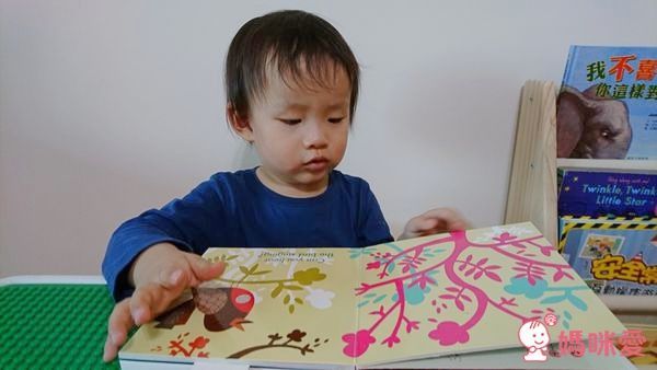 Listen to the Countryside