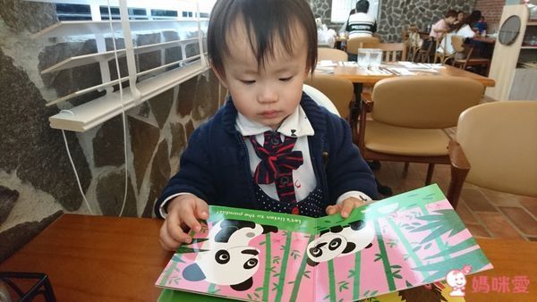 Listen to the Jungle