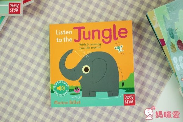  Listen to the Jungle