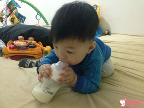 Bfree 防脹氣奶瓶 / 奶嘴