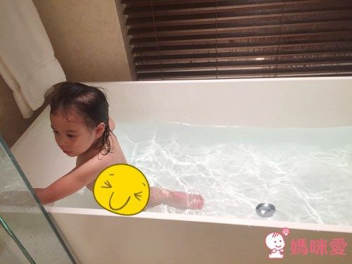 桃園大溪笠復威斯汀酒店