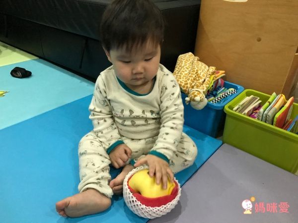 【鄭哥水果】紐西蘭空運櫻桃30mm/日本青森蜜蘋果&金星蘋果