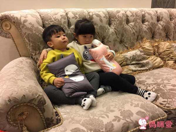 韓國 DreamB 頭型枕 / 枕頭 / 懶人沙發