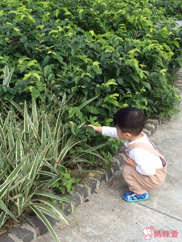 韓國 DreamB 頭型枕 / 枕頭 / 懶人沙發