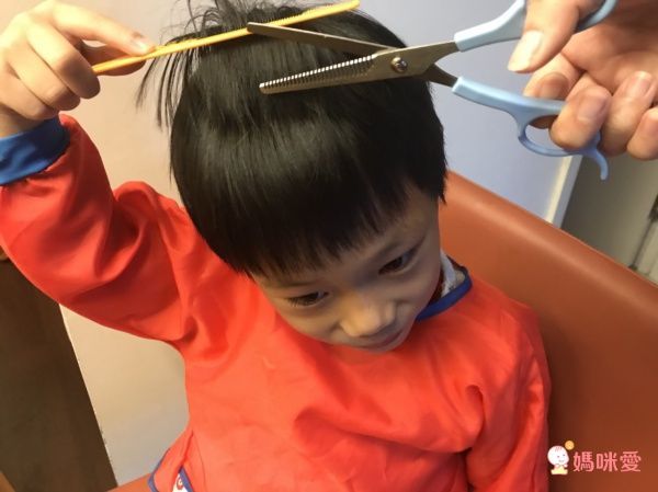 seedoor 喜朵 專業外出料理剪 / 廚房剪 / 理髮剪