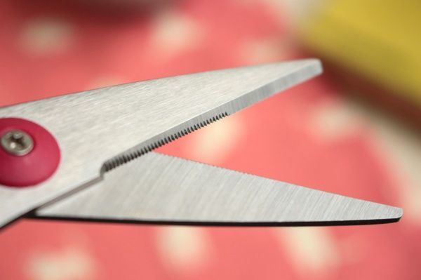 seedoor 喜朵 專業外出料理剪 / 廚房剪 / 理髮剪