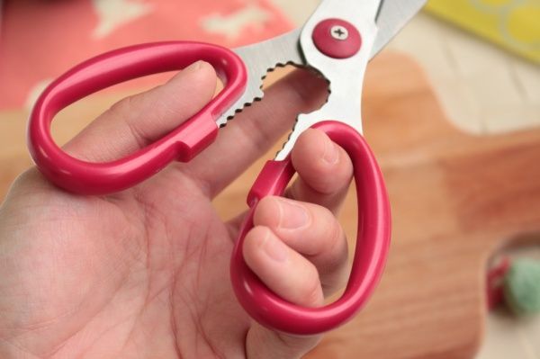 seedoor 喜朵 專業外出料理剪 / 廚房剪 / 理髮剪