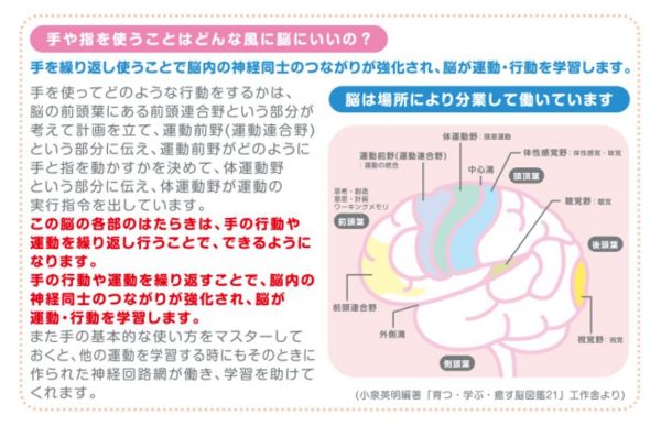 日本麵包超人 小月齡玩具✖生活學習布書