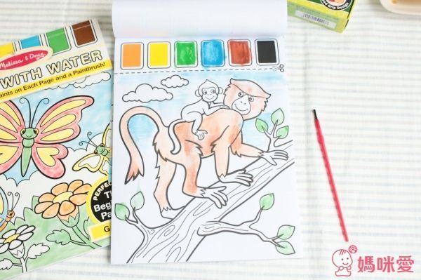 美國天然安全 Crayon Rocks 酷蠟石/水彩畫本