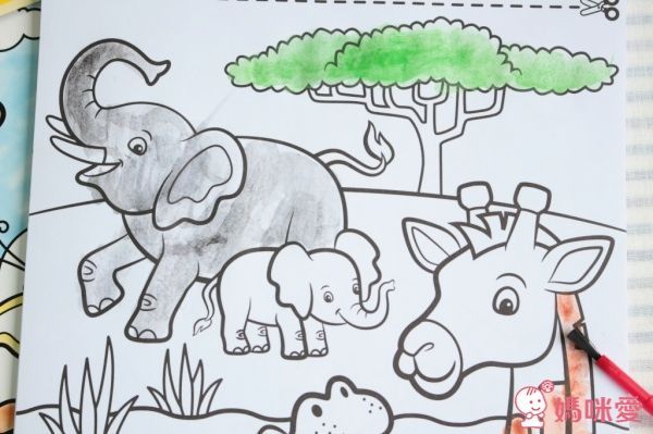 美國天然安全 Crayon Rocks 酷蠟石/水彩畫本