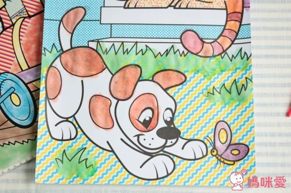 美國天然安全 Crayon Rocks 酷蠟石/水彩畫本