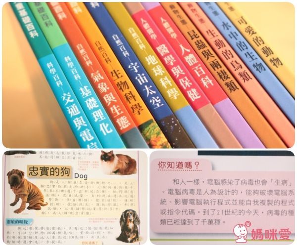 超值組內容• 搭配加購 全方位兒童點讀基礎百科(點讀版)