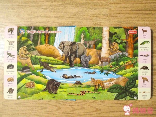 小牛津 幼幼情境美語圖典點讀教材