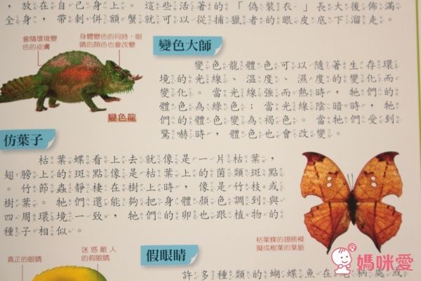 超值組內容• 搭配加購 全方位兒童點讀基礎百科(點讀版)