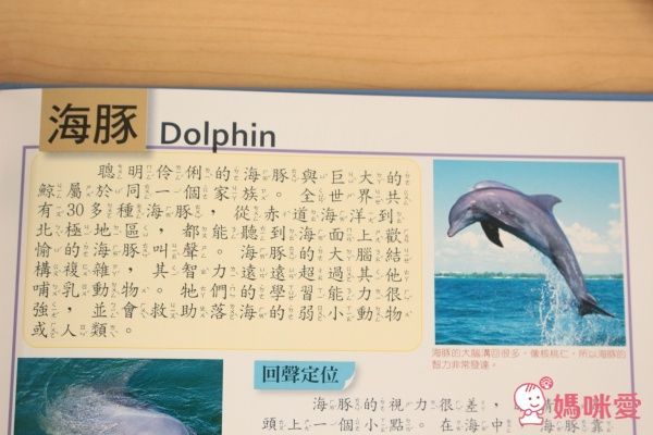 超值組內容• 搭配加購 全方位兒童點讀基礎百科(點讀版)