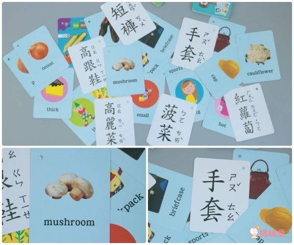 【媽咪愛獨家優惠組】小牛津圖解ABC小百科點讀寶盒✌加贈點讀小卡＋粉蠟筆！