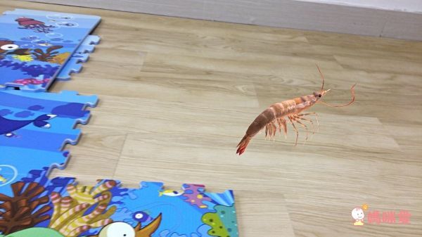 【SUNTA】安全無毒拼接地墊 / 遊戲墊