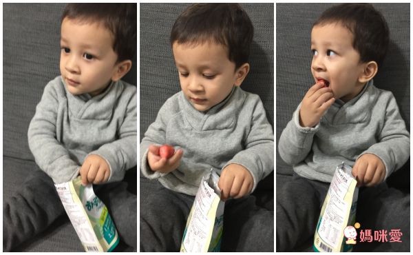 Natural Choice 自然首選 - 動物園系列果乾單入-綜合水果