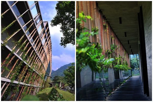 苗栗【泰安觀止溫泉會館】頂級泡湯親子之旅