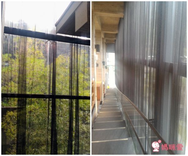 苗栗【泰安觀止溫泉會館】頂級泡湯親子之旅