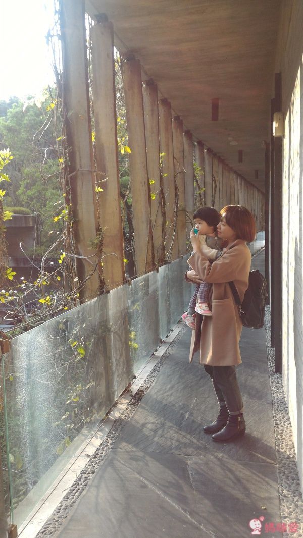 苗栗【泰安觀止溫泉會館】頂級泡湯親子之旅