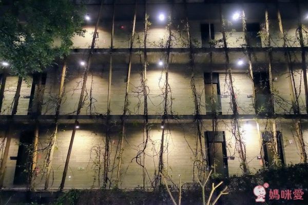 苗栗【泰安觀止溫泉會館】頂級泡湯親子之旅