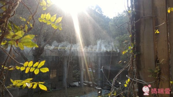 苗栗【泰安觀止溫泉會館】頂級泡湯親子之旅