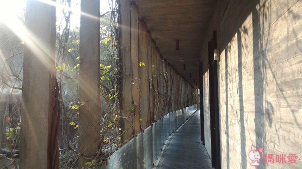 苗栗【泰安觀止溫泉會館】頂級泡湯親子之旅