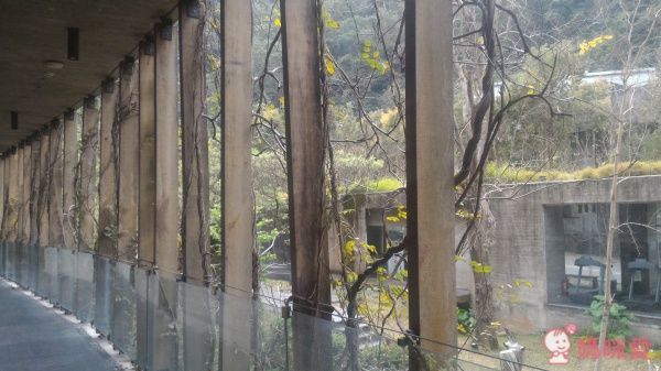 苗栗【泰安觀止溫泉會館】頂級泡湯親子之旅