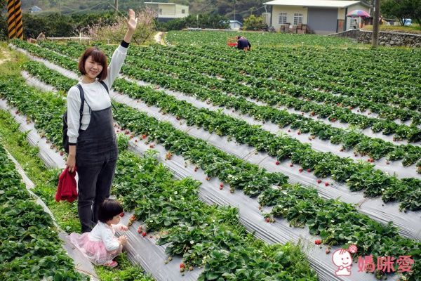 苗栗【泰安觀止溫泉會館】頂級泡湯親子之旅