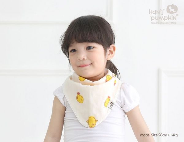 韓國 Hans Pumpkin 口水巾