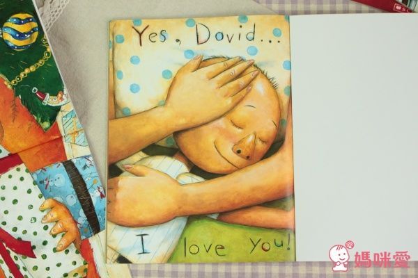 《大象家族》、《尋找威利》《大衛,不可以》經典外文繪本套書