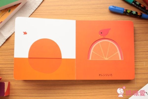 日本小學館  Xavier Deneux  幼兒彩色凹凸繪本