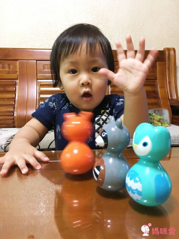 美國 Kid O - 動物不倒翁-浣熊+狐狸+貓頭鷹(三入一組)