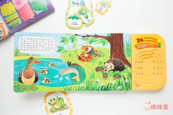 華碩文化 - 【3本合購】大自然觀察拉拉書(是誰藏在沙漠和海裡?+是誰藏在森林和雪地?)+有聲書(猜猜我長大變成什麼？)