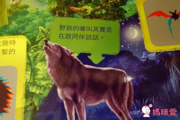 華碩文化 互動學習認知書