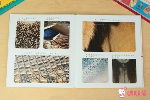 華碩文化 互動學習認知書